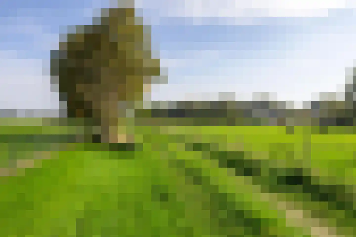 AE-weg 28 Woldendorp thumbnail 38