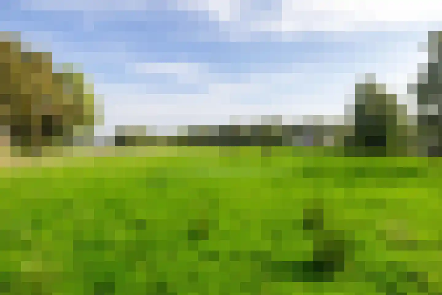 AE-weg 28 Woldendorp thumbnail 39