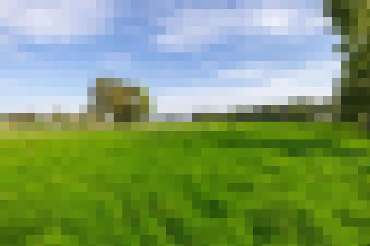 AE-weg 28 Woldendorp thumbnail 40
