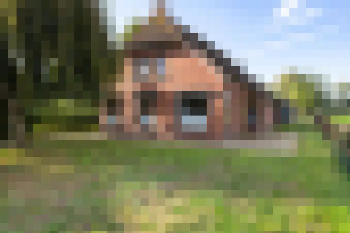 AE-weg 28 Woldendorp thumbnail 5