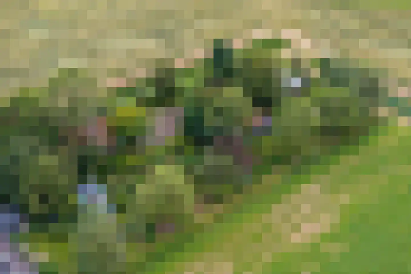 AE-weg 50 Woldendorp thumbnail 10
