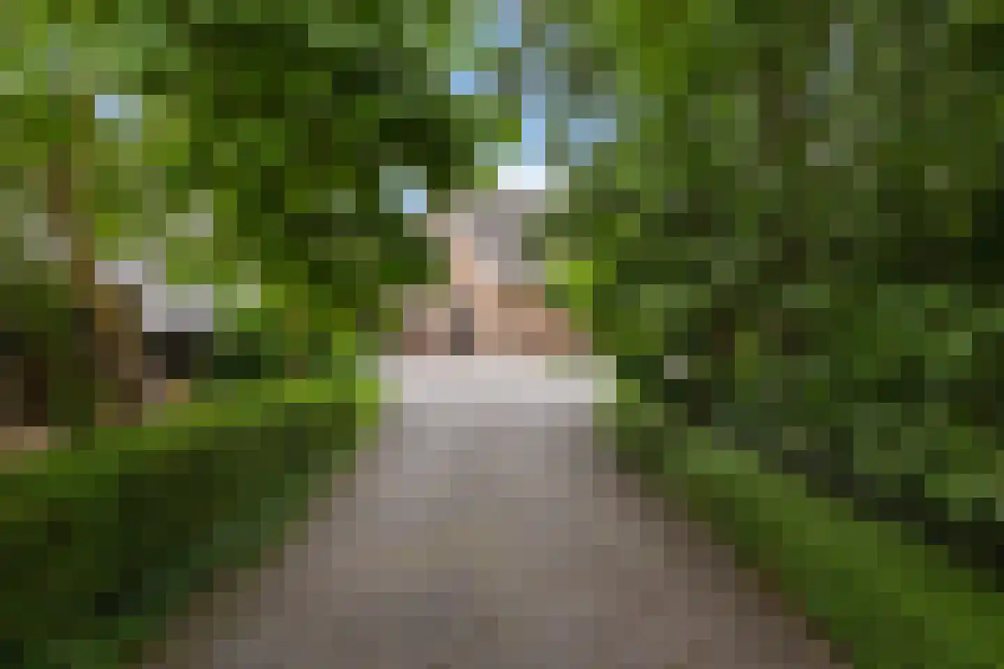 AE-weg 50 Woldendorp thumbnail 13