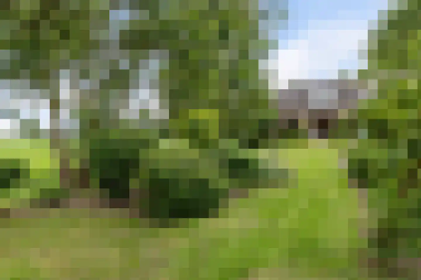 AE-weg 50 Woldendorp thumbnail 16