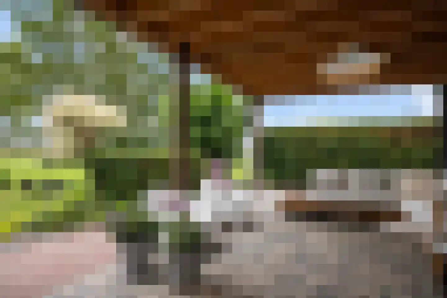 AE-weg 50 Woldendorp thumbnail 19