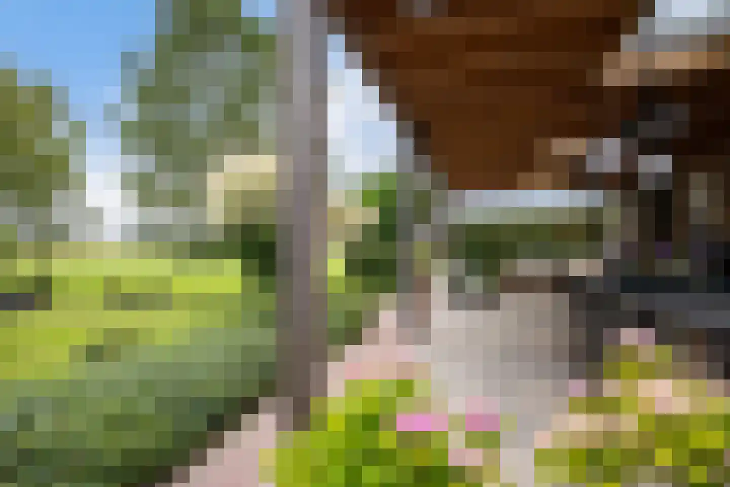 AE-weg 50 Woldendorp thumbnail 22