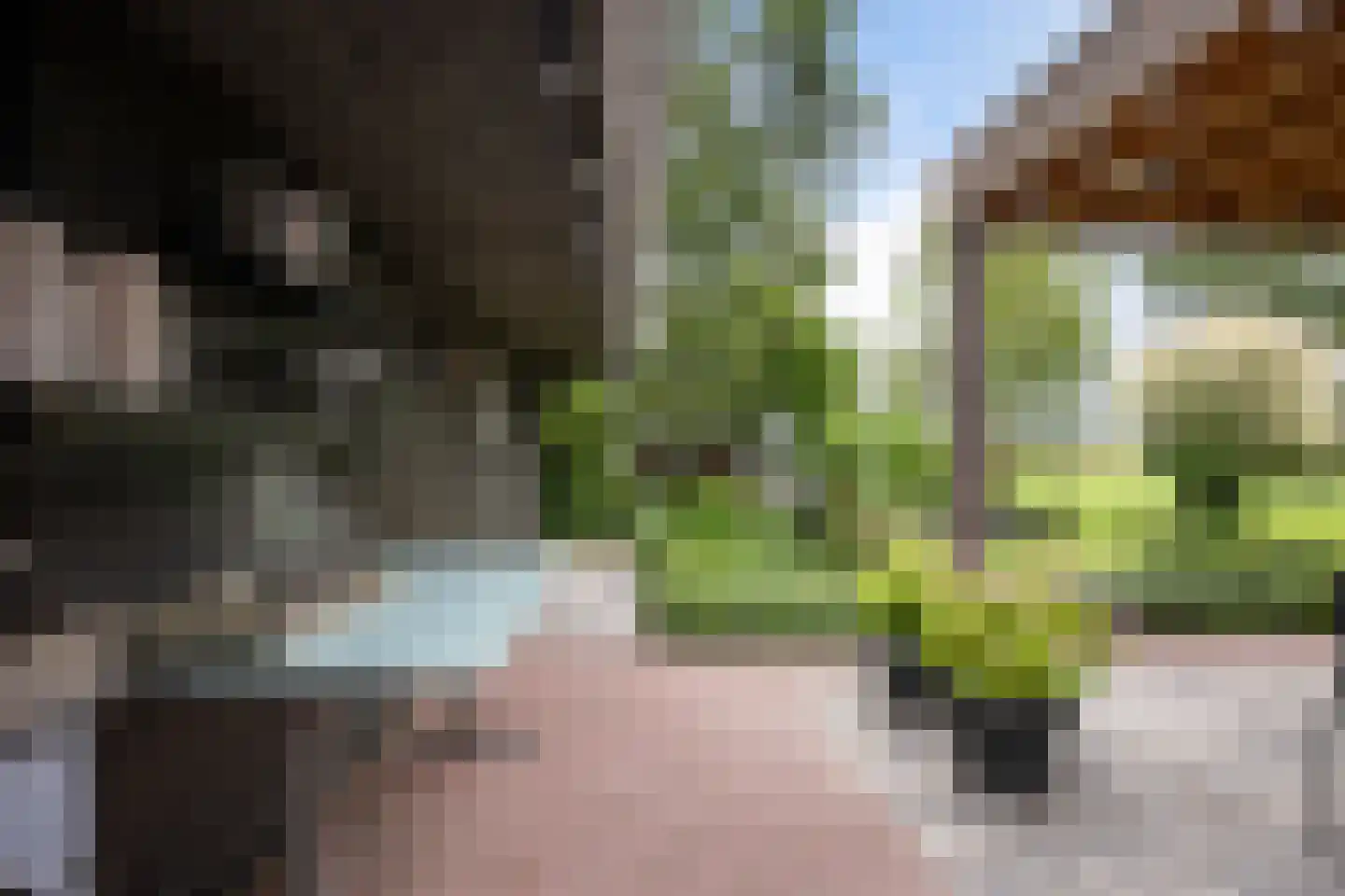 AE-weg 50 Woldendorp thumbnail 24