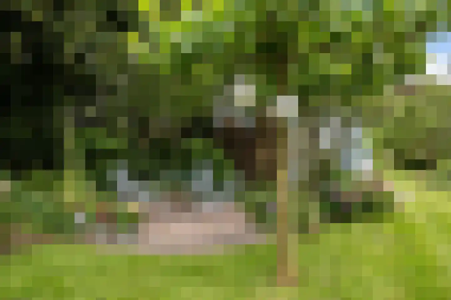 AE-weg 50 Woldendorp thumbnail 25