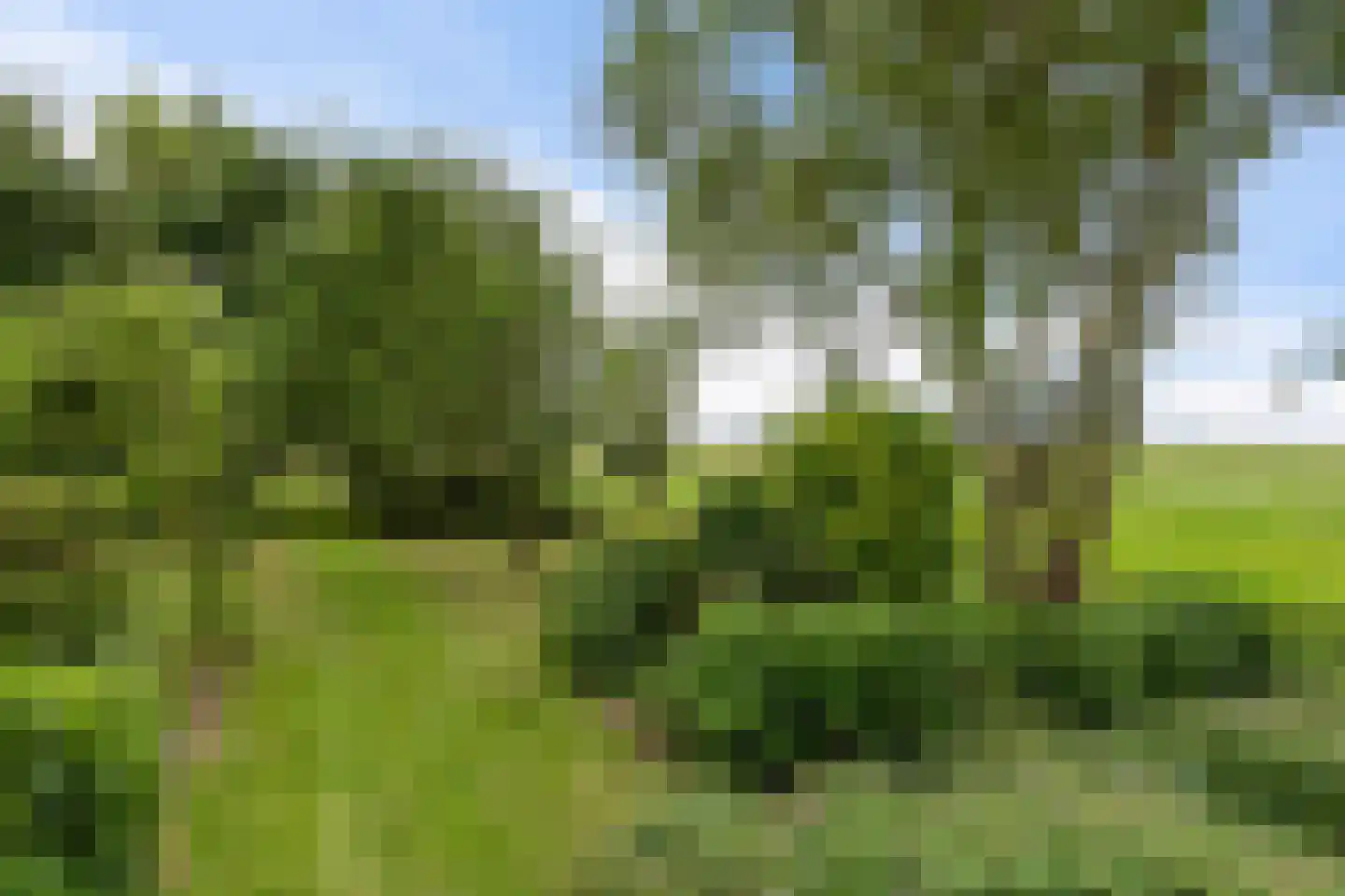 AE-weg 50 Woldendorp thumbnail 27