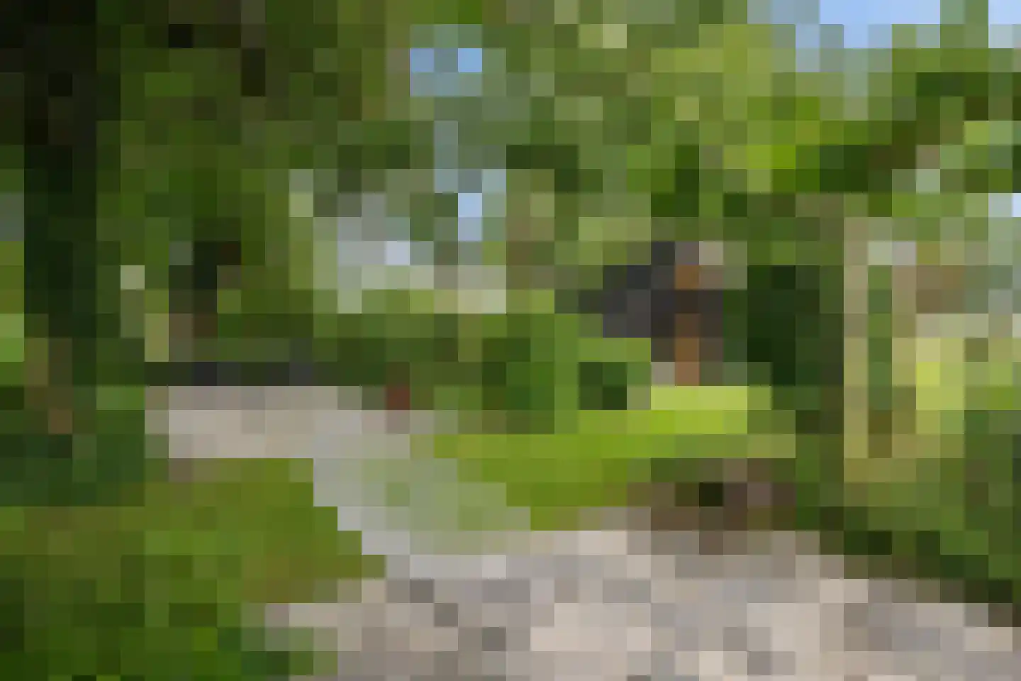 AE-weg 50 Woldendorp thumbnail 28