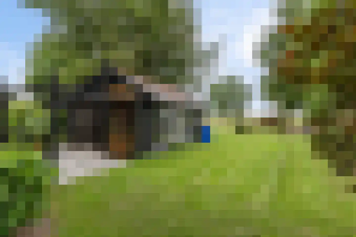 AE-weg 50 Woldendorp thumbnail 29