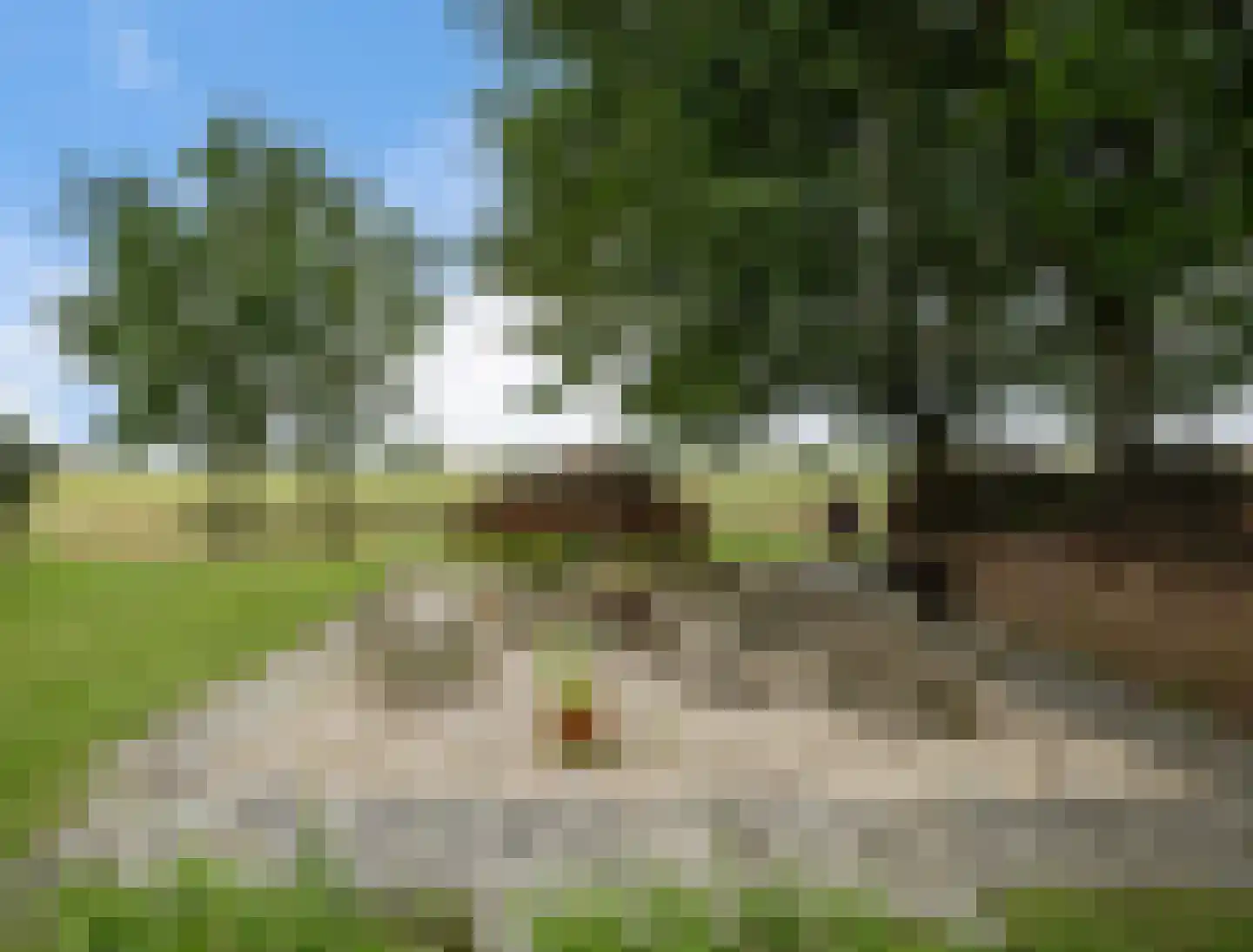 AE-weg 50 Woldendorp thumbnail 30