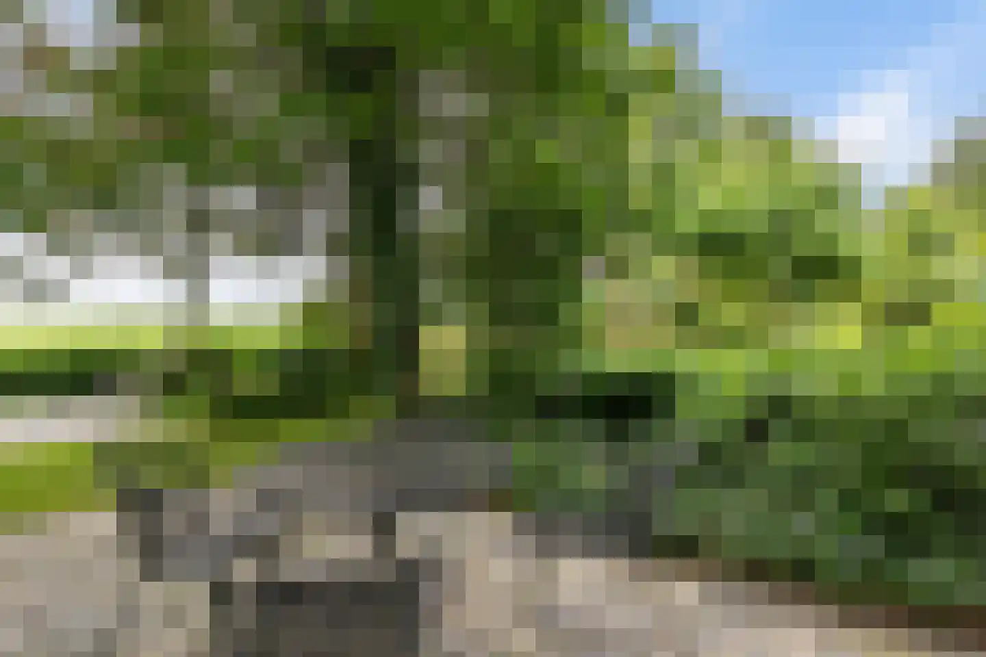 AE-weg 50 Woldendorp thumbnail 31