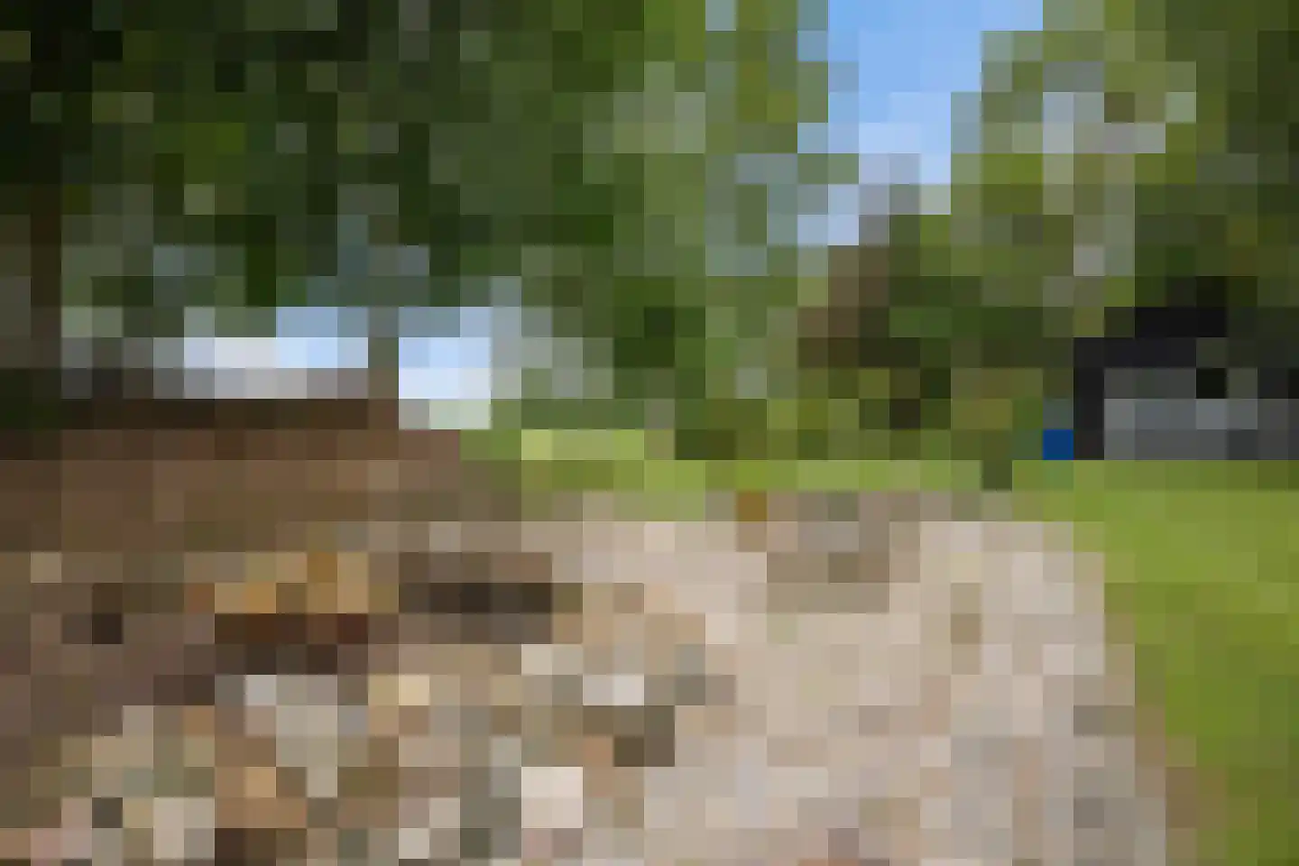AE-weg 50 Woldendorp thumbnail 32