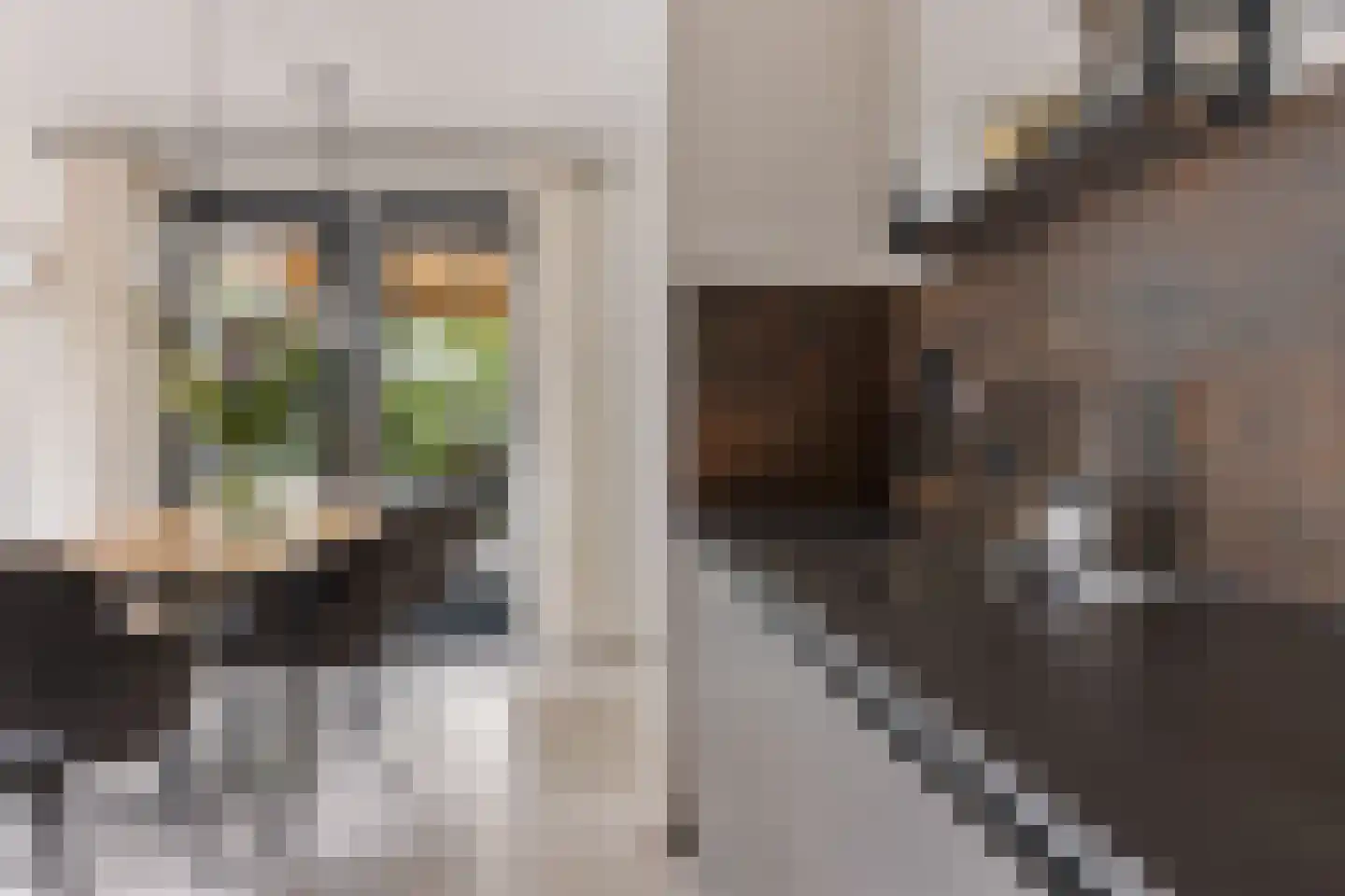 AE-weg 50 Woldendorp thumbnail 46