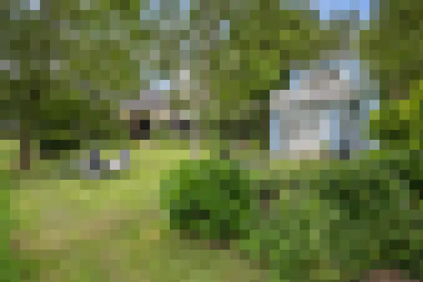 AE-weg 50 Woldendorp thumbnail 69