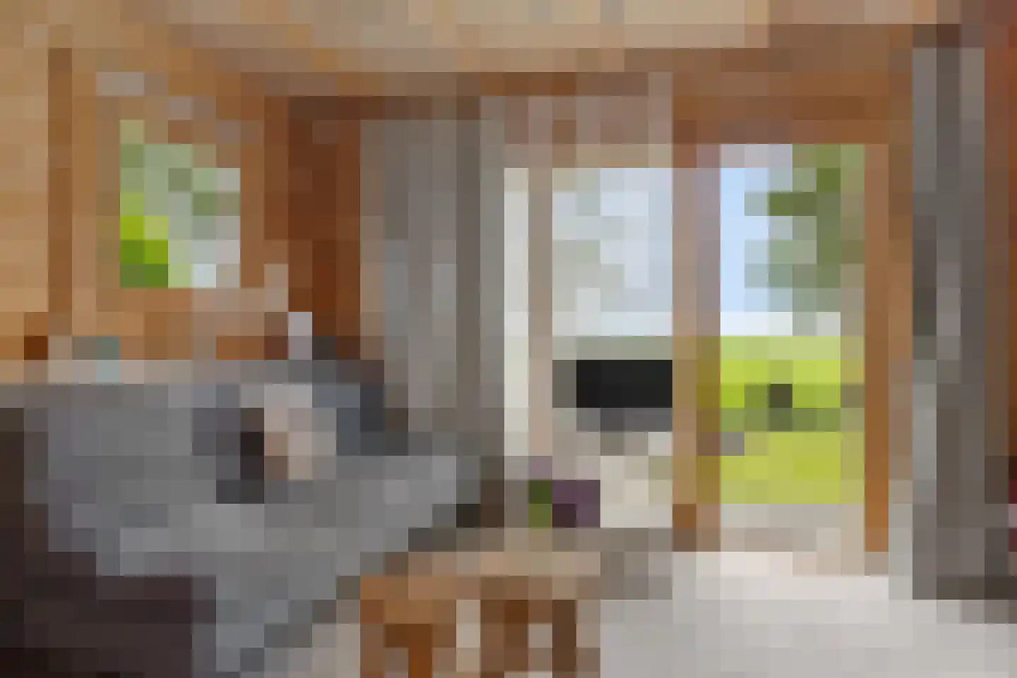 AE-weg 50 Woldendorp thumbnail 71