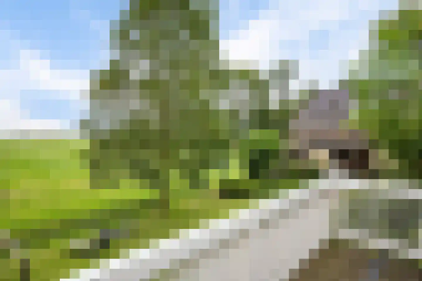 AE-weg 50 Woldendorp thumbnail 76