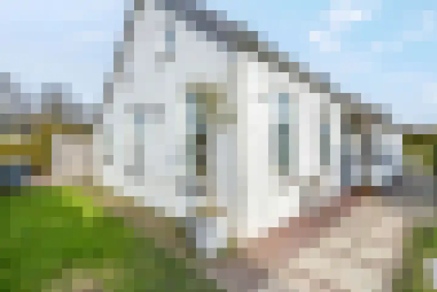AE-weg 9 Woldendorp thumbnail 19