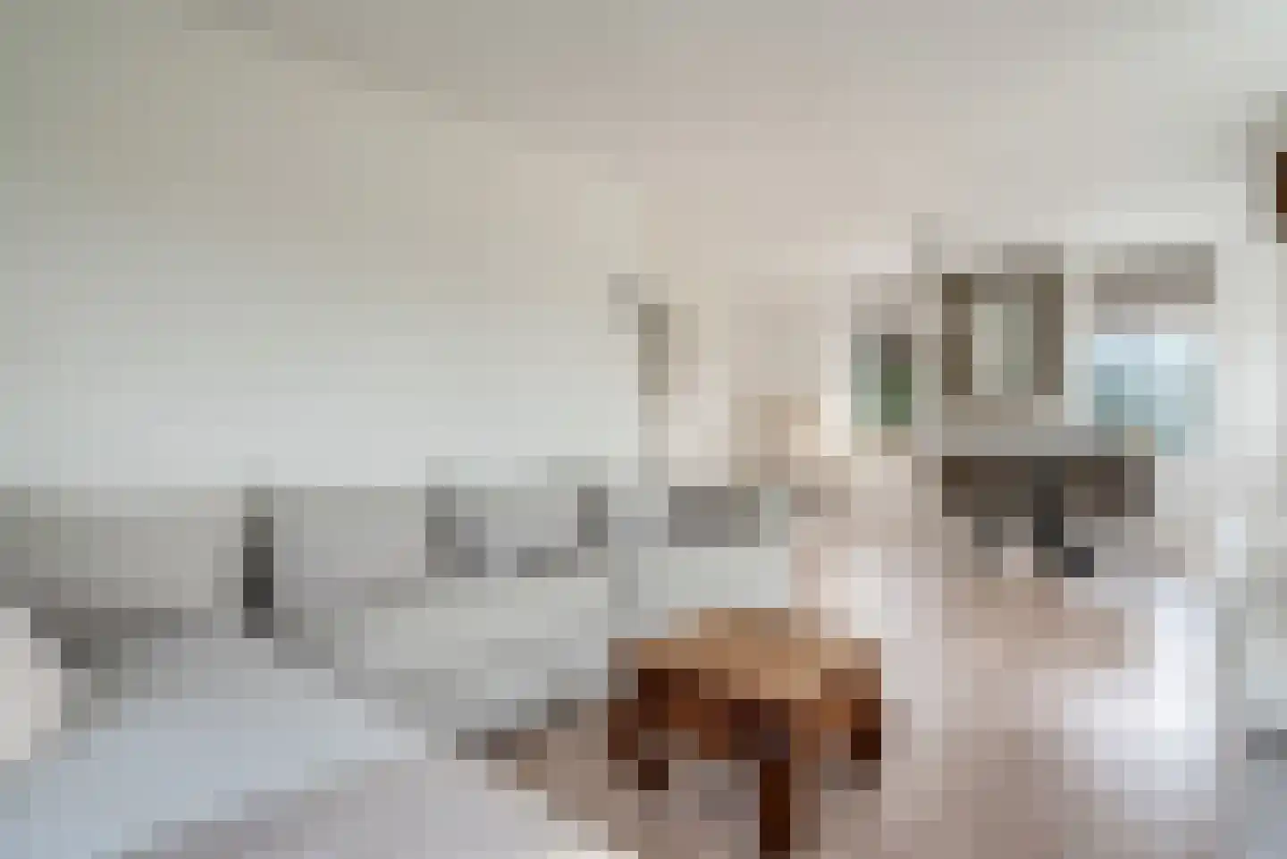AE-weg 9 Woldendorp thumbnail 26
