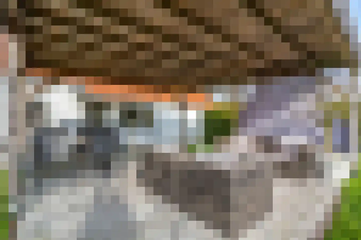 AE-weg 9 Woldendorp thumbnail 56