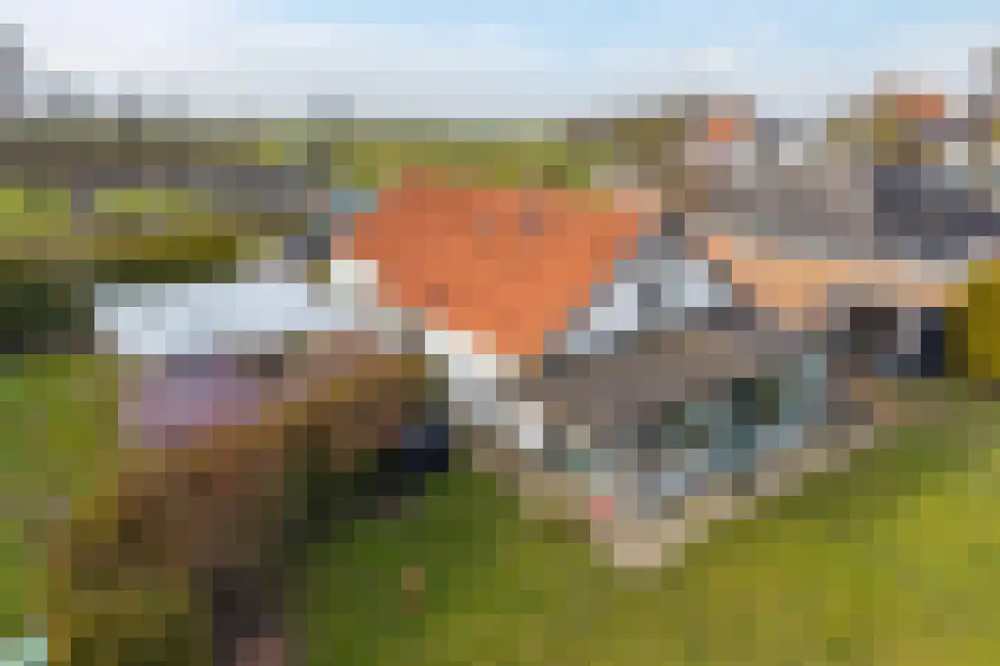 AE-weg 9 Woldendorp thumbnail 60