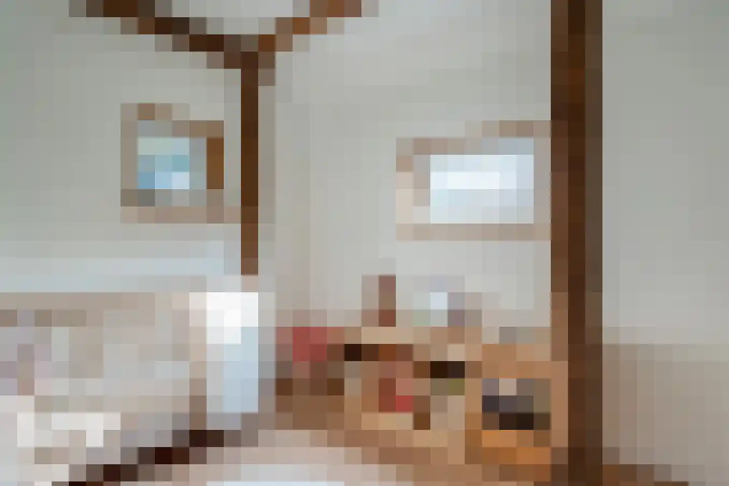 AE-weg 9 Woldendorp thumbnail 7