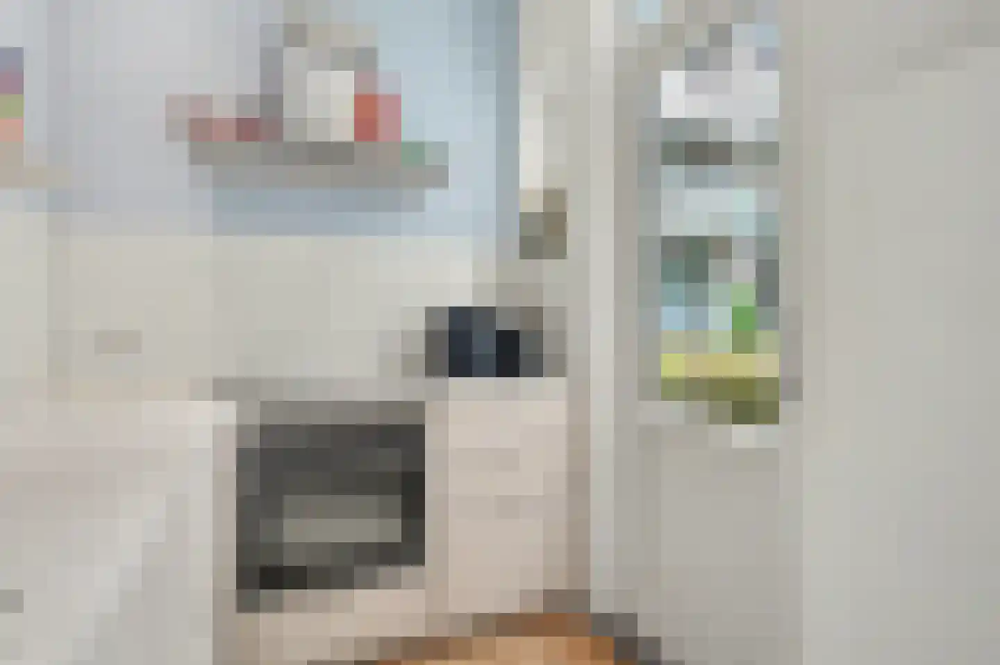 Aegidiusstraat 104 A Rotterdam thumbnail 15
