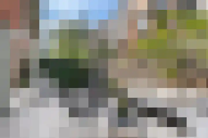 Aegidiusstraat 173 Rotterdam thumbnail 22