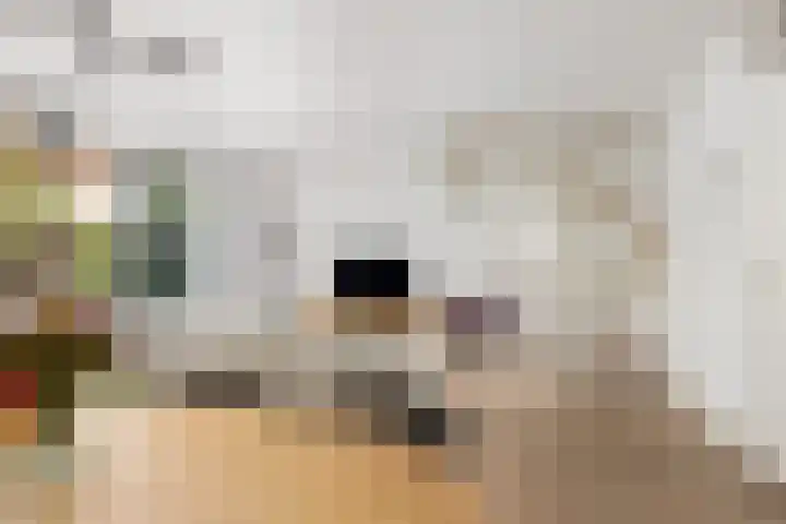 Aegidiusstraat 173 Rotterdam thumbnail 4