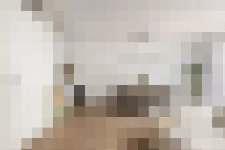 Aegidiusstraat 173 Rotterdam thumbnail 8