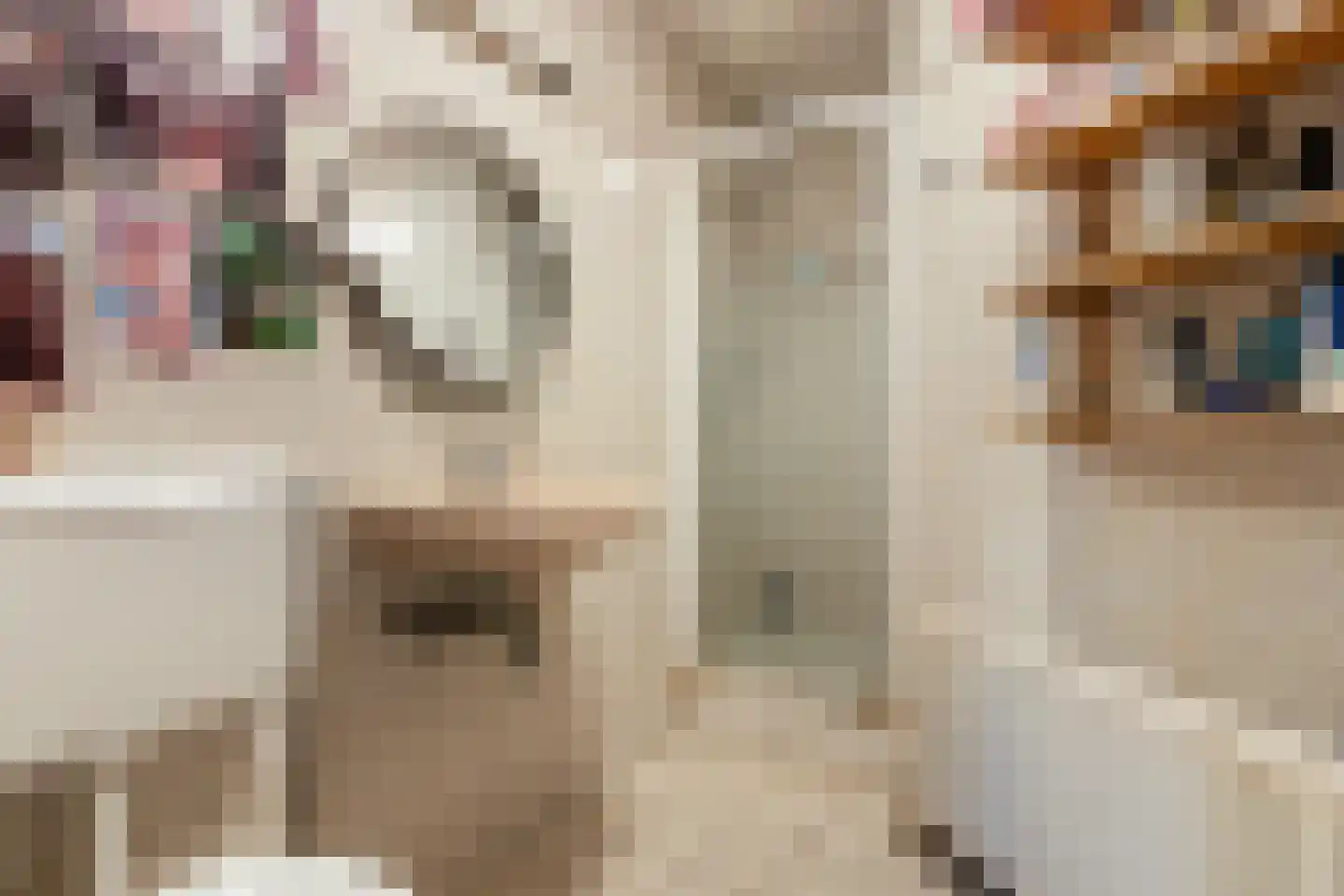Aegidiusstraat 186 B Rotterdam thumbnail 12