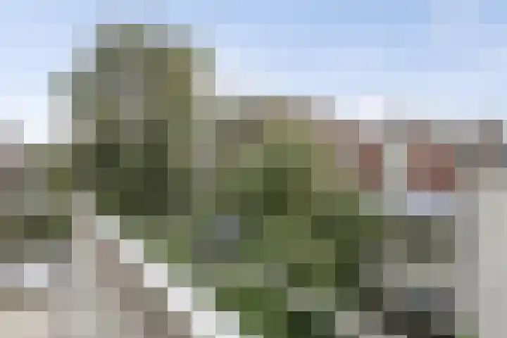 Aegidiusstraat 204 Rotterdam thumbnail 13