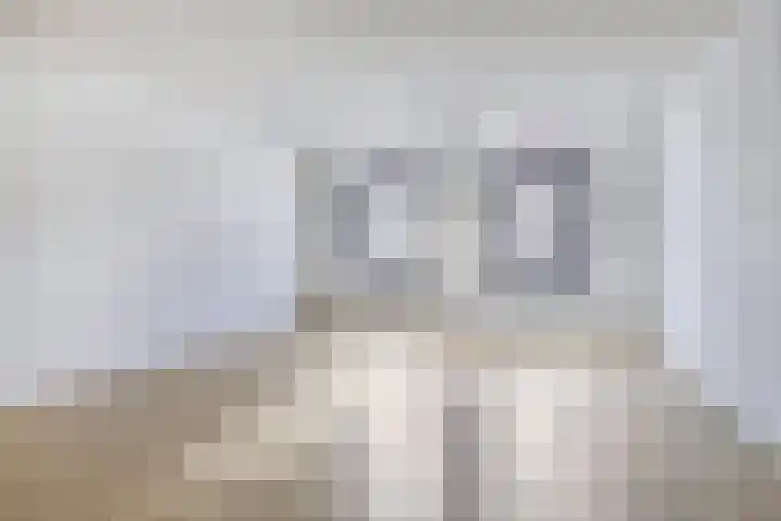 Aegidiusstraat 204 Rotterdam thumbnail 21