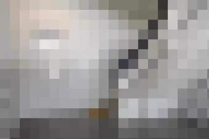 Aegidiusstraat 204 Rotterdam thumbnail 4