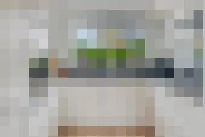 Aelbert Cuyplaan 30 Hendrik-Ido-Ambacht thumbnail 11