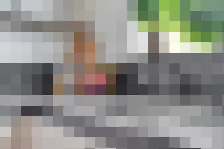 Aelbert Cuyplaan 30 Hendrik-Ido-Ambacht thumbnail 12