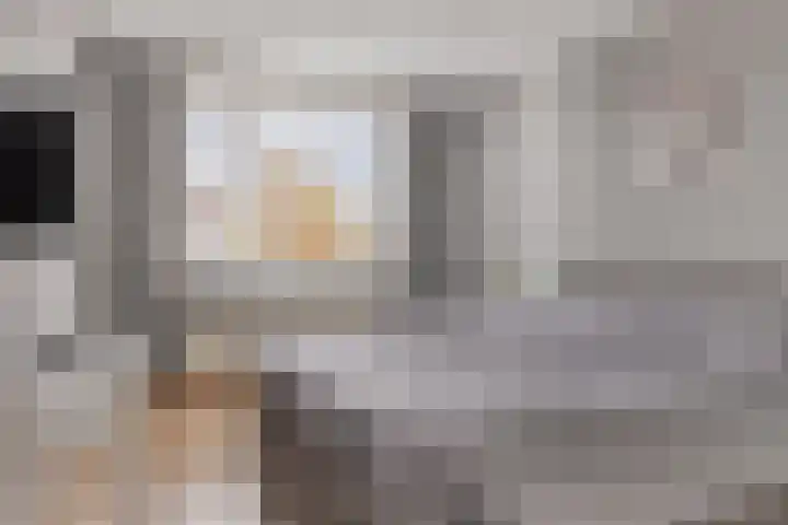 Aelbert Cuyplaan 30 Hendrik-Ido-Ambacht thumbnail 15