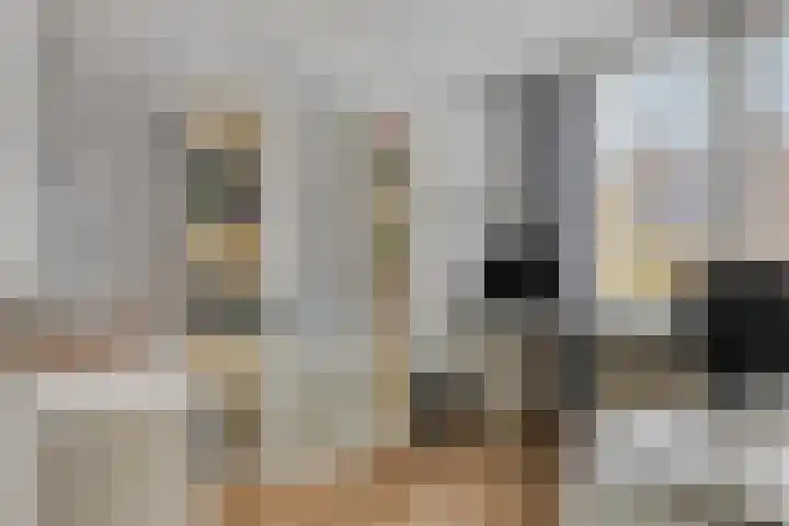 Aelbert Cuyplaan 30 Hendrik-Ido-Ambacht thumbnail 16