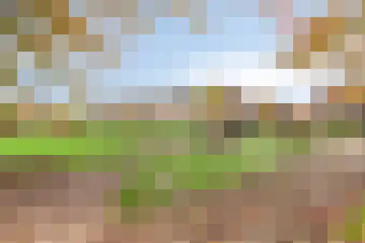 Aelbert Cuyplaan 30 Hendrik-Ido-Ambacht thumbnail 27