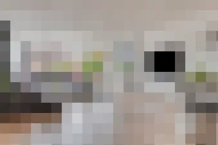 Aelbert Cuyplaan 30 Hendrik-Ido-Ambacht thumbnail 6