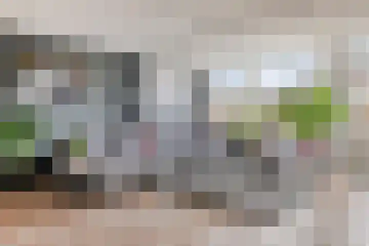 Aelbert Cuyplaan 30 Hendrik-Ido-Ambacht thumbnail 7