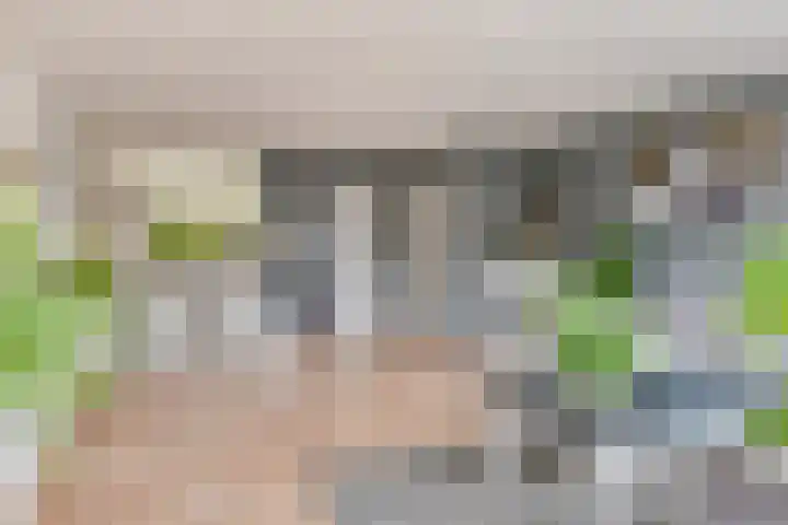 Aelbert Cuyplaan 30 Hendrik-Ido-Ambacht thumbnail 8