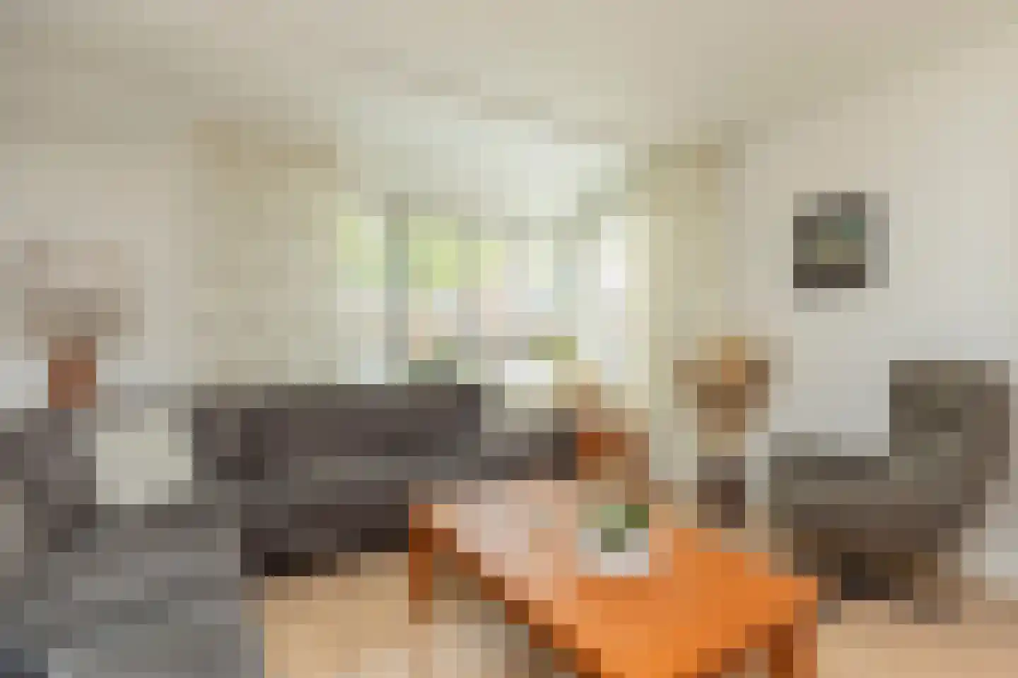 Aelbert Cuyplaan 58 Hendrik-Ido-Ambacht thumbnail 8