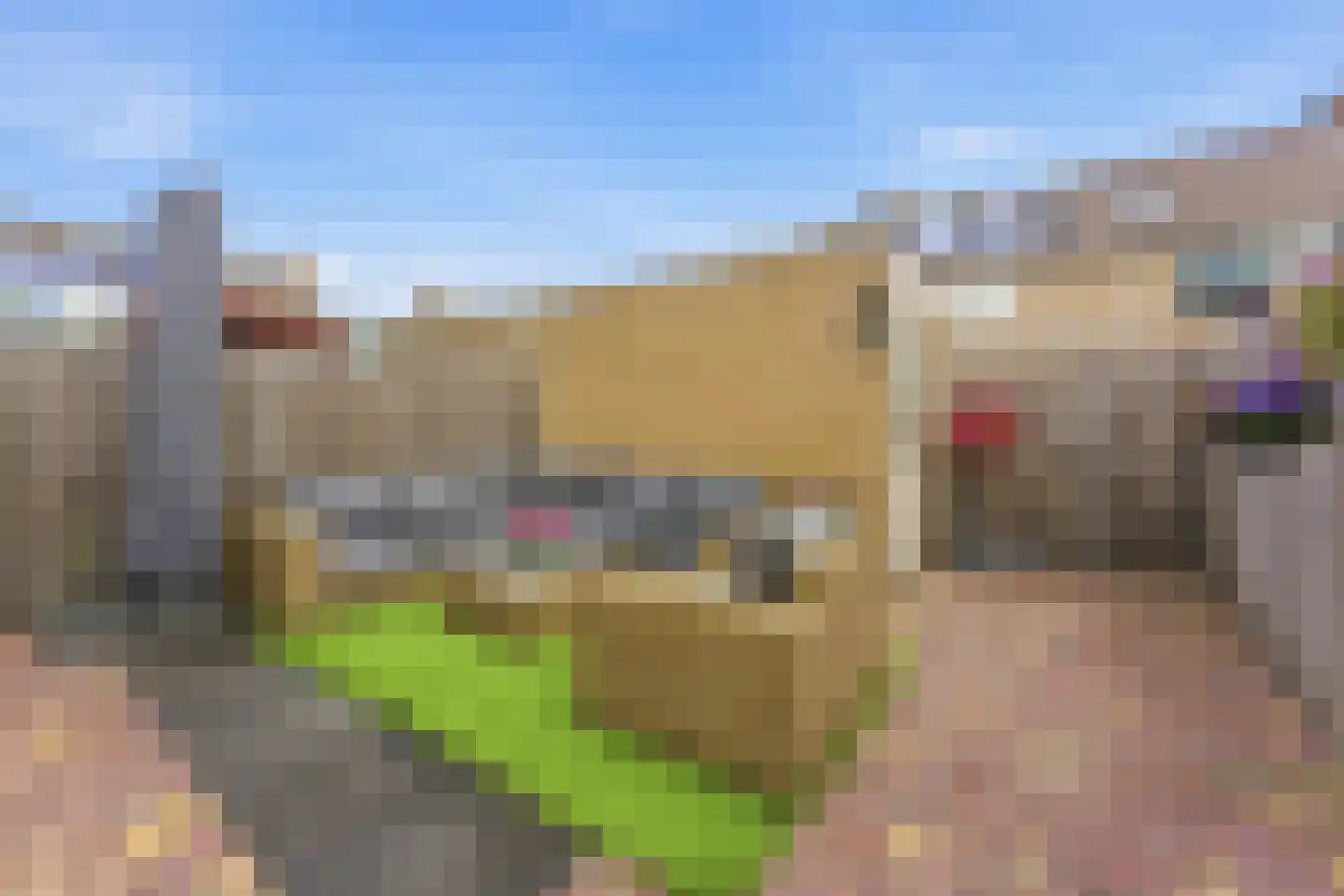 Aelbert Cuyplaan 73 Hendrik-Ido-Ambacht thumbnail 50