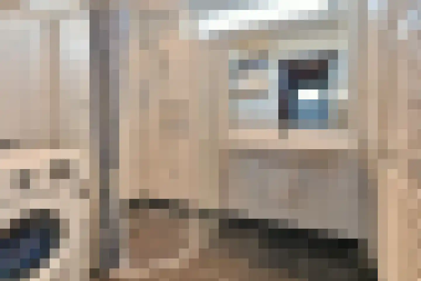 Aelbert Cuypstraat 10 Nederhorst den Berg thumbnail 22