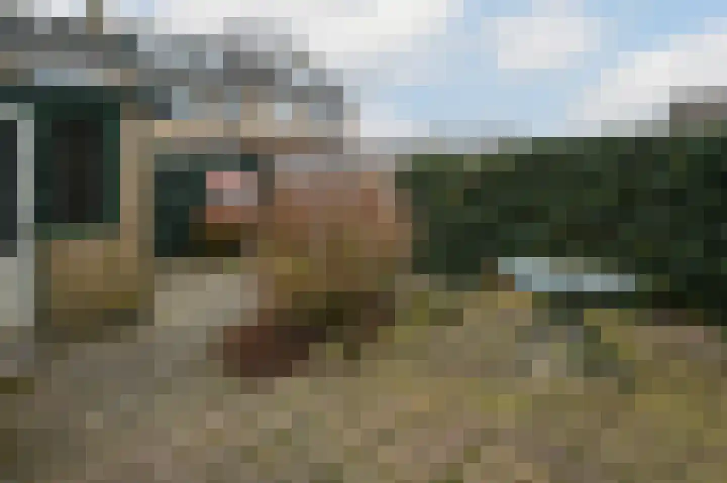 Aelbert Cuypstraat 12 Nederhorst den Berg thumbnail 14