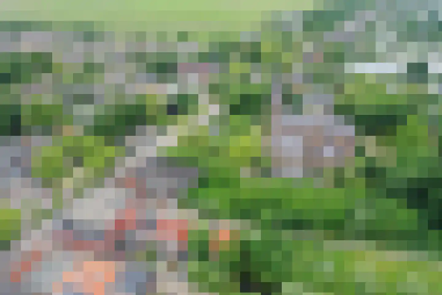 Aelbert Cuypstraat 12 Nederhorst den Berg thumbnail 32