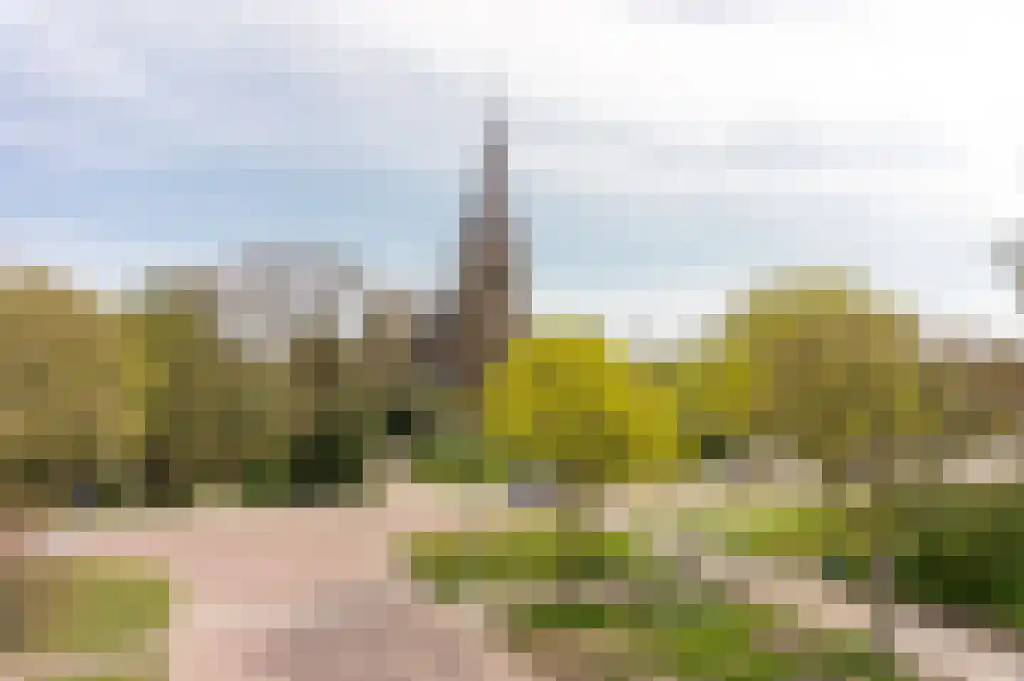 Aelbert Cuypstraat 12 Nederhorst den Berg thumbnail 33
