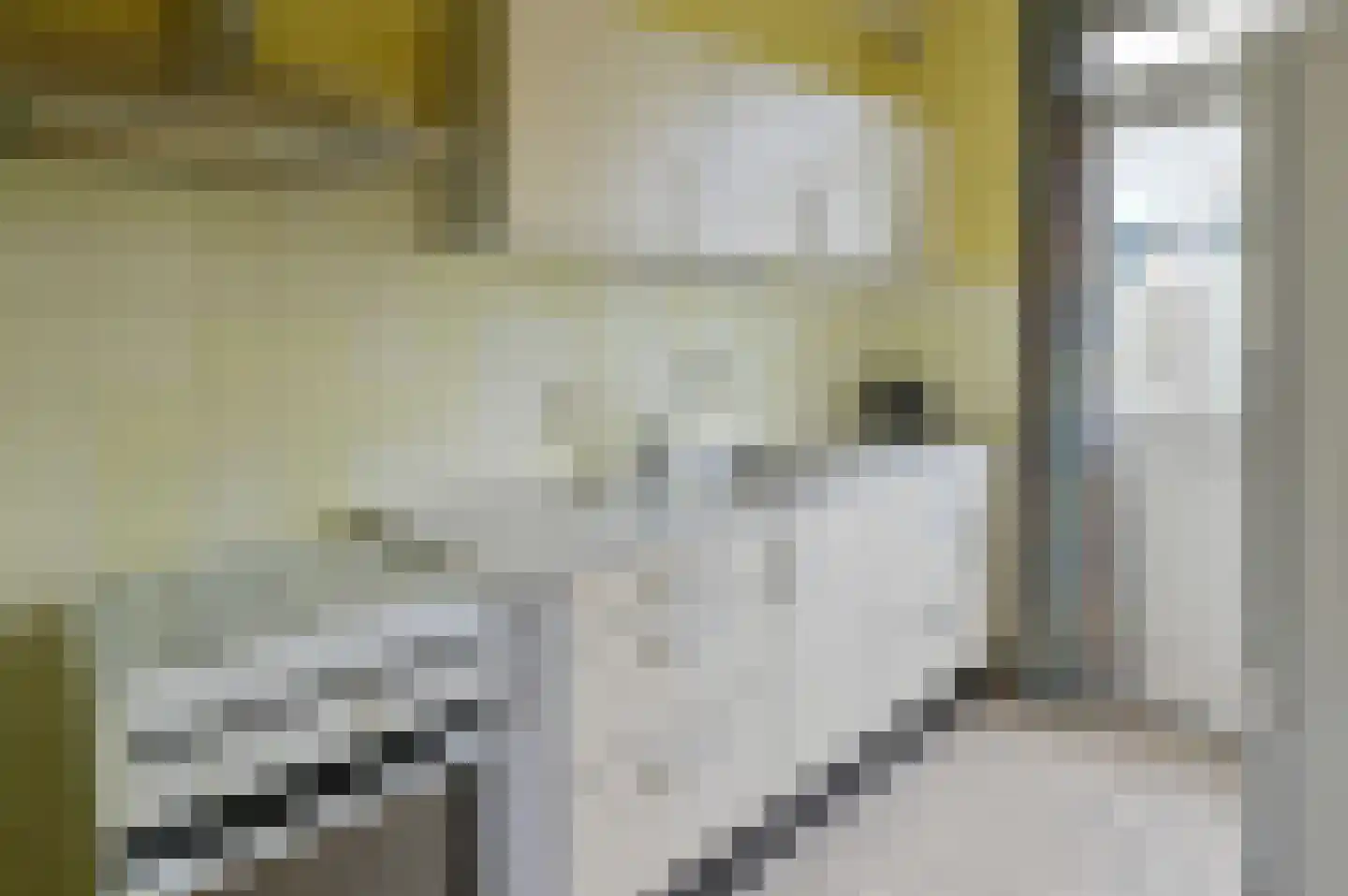 Aelbert Cuypstraat 12 Nederhorst den Berg thumbnail 8