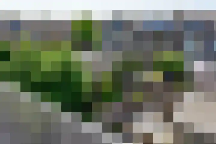 Aelbert Cuypstraat 13 Nederhorst den Berg thumbnail 22